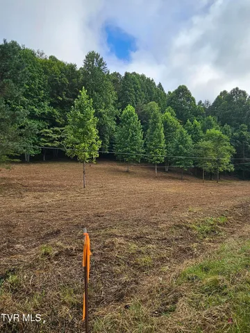 $43,000 | Tbd Caney Valley Road, Unit 1, Surgoinsville, TN 37873