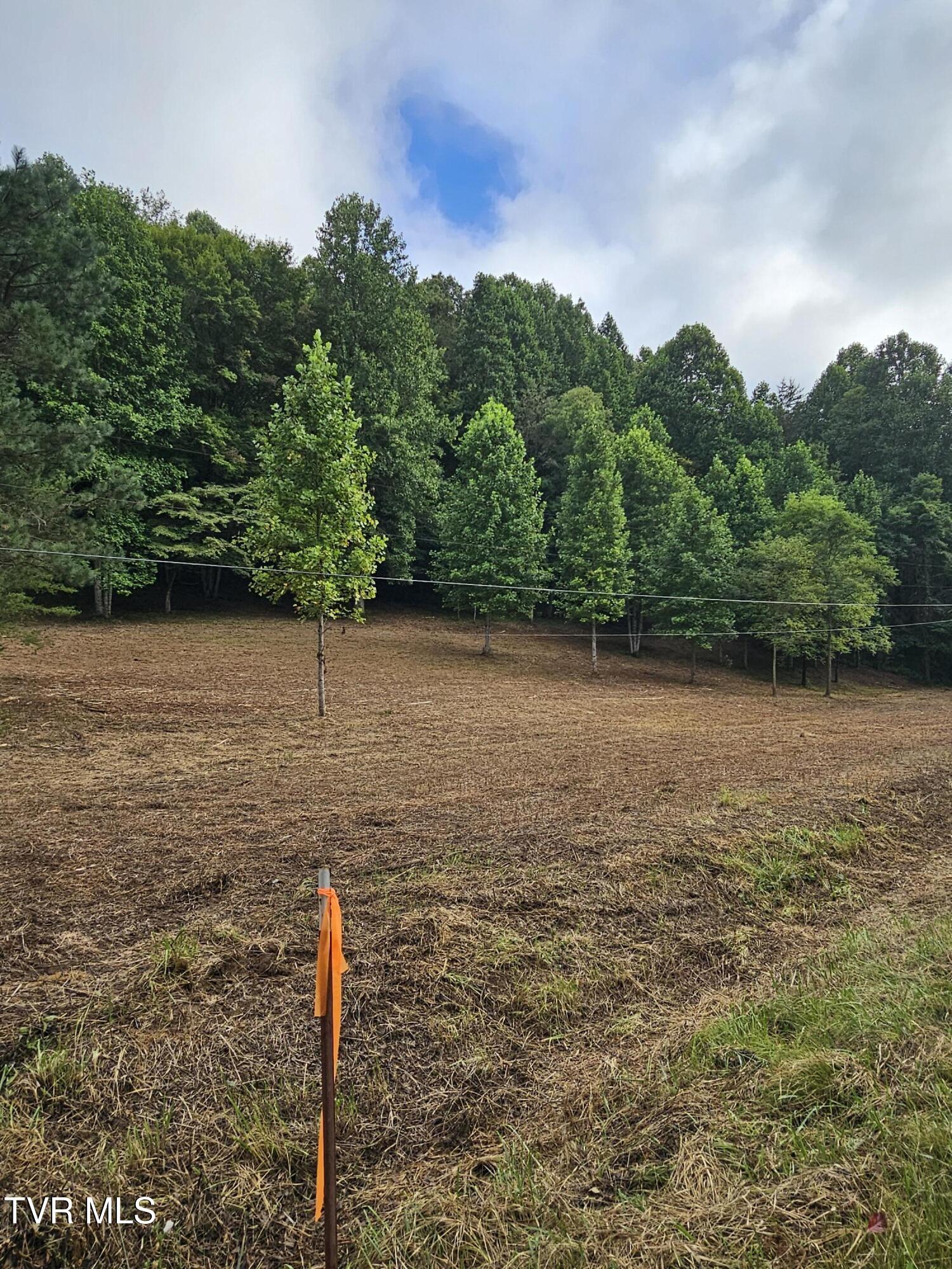 Tbd Caney Valley Road, Unit 1 Surgoinsville, TN 37873 - Photo 15 of 18 Left boundary marker