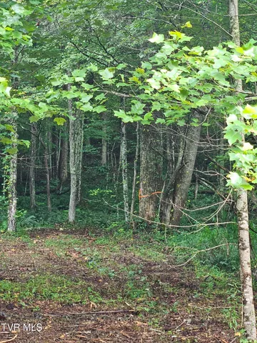 $43,000 | Tbd Caney Valley Road, Unit 1, Surgoinsville, TN 37873