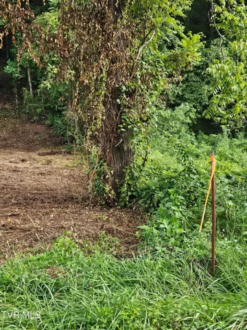 $43,000 | Tbd Caney Valley Road, Unit 1, Surgoinsville, TN 37873