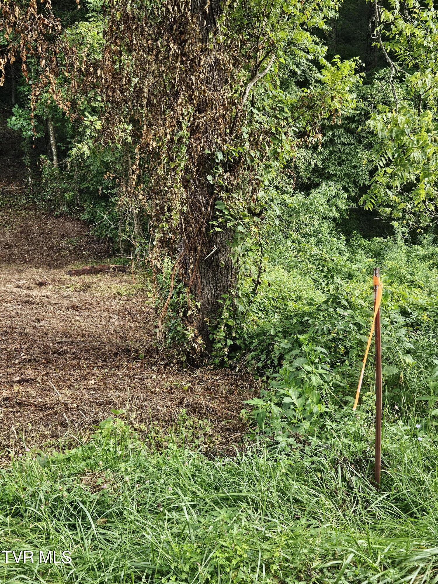 Tbd Caney Valley Road, Unit 1 Surgoinsville, TN 37873 - Photo 17 of 18 Right boundary marker