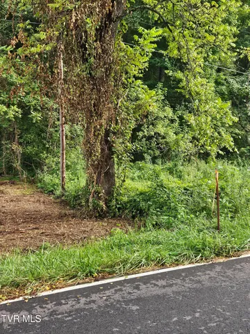 $43,000 | Tbd Caney Valley Road, Unit 1, Surgoinsville, TN 37873