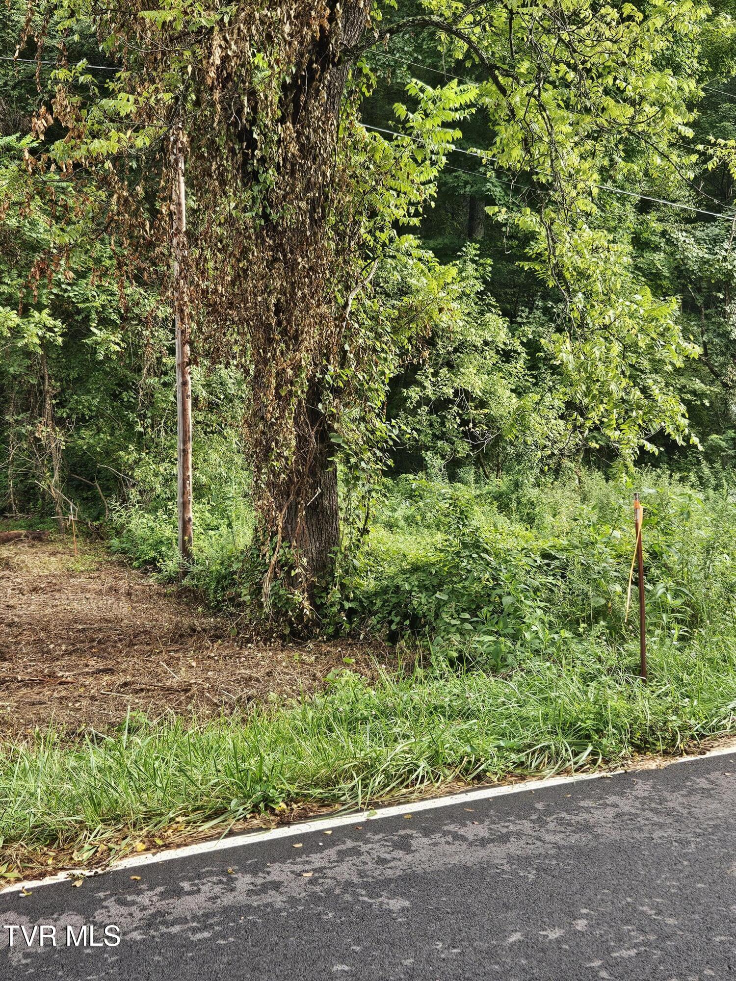 Tbd Caney Valley Road, Unit 1 Surgoinsville, TN 37873 - Photo 18 of 18 Right boundary marker