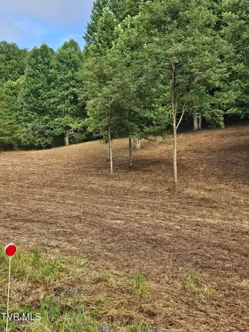 $43,000 | Tbd Caney Valley Road, Unit 1, Surgoinsville, TN 37873