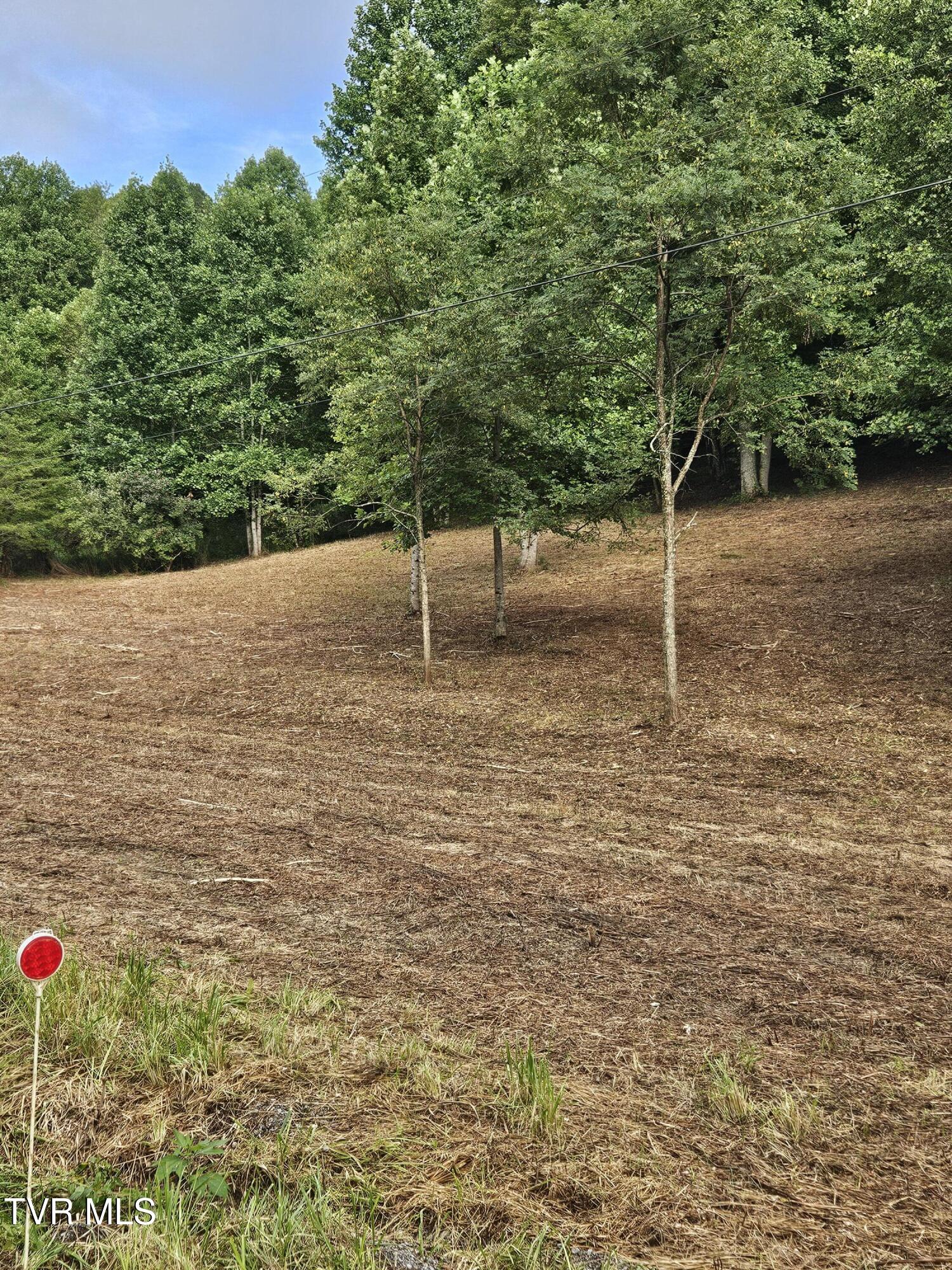 Tbd Caney Valley Road, Unit 1 Surgoinsville, TN 37873 - Photo 4 of 18 Driveway marker