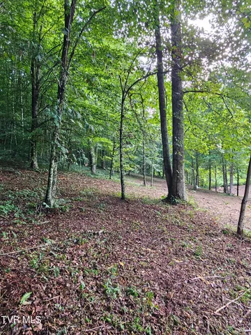 $43,000 | Tbd Caney Valley Road, Unit 1, Surgoinsville, TN 37873