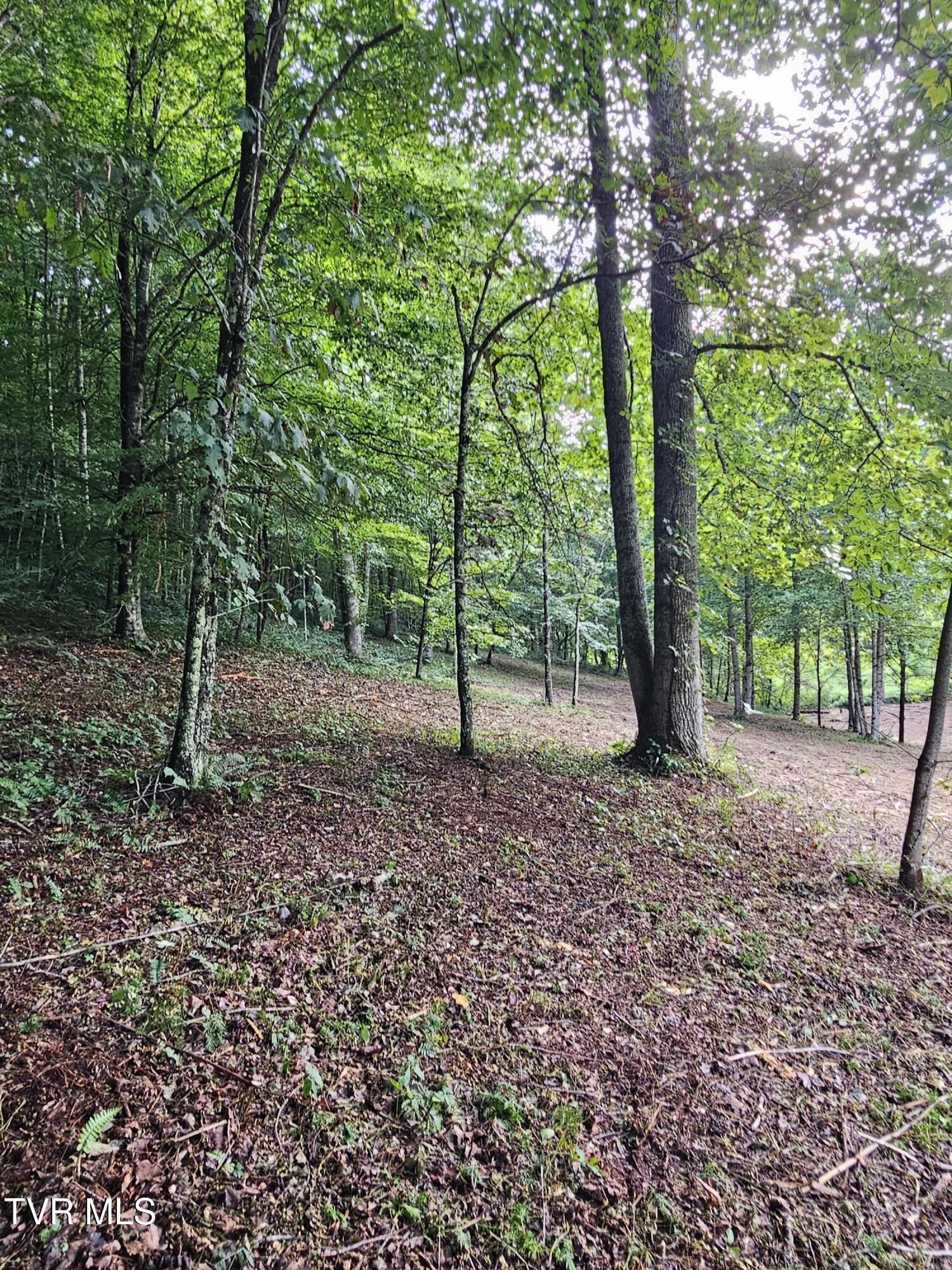Tbd Caney Valley Road, Unit 1 Surgoinsville, TN 37873 - Photo 6 of 18 Partilly cleared area