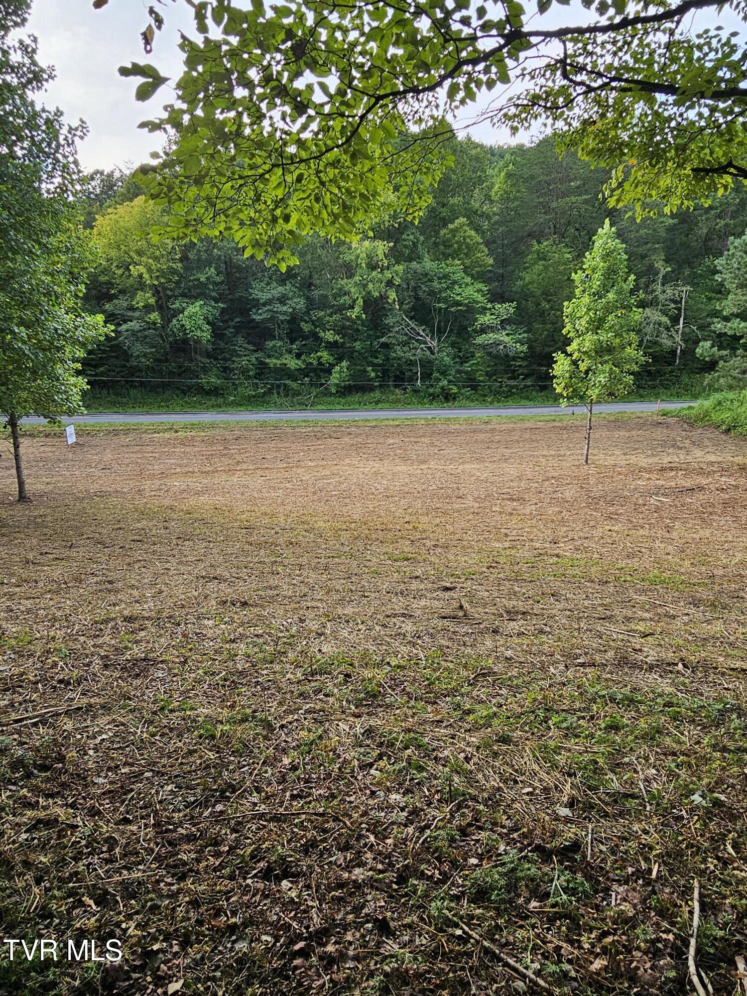 Tbd Caney Valley Road, Unit 1 Surgoinsville, TN 37873 - Photo 7 of 18 Cleared area