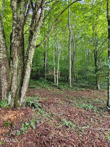 $43,000 | Tbd Caney Valley Road, Unit 1, Surgoinsville, TN 37873