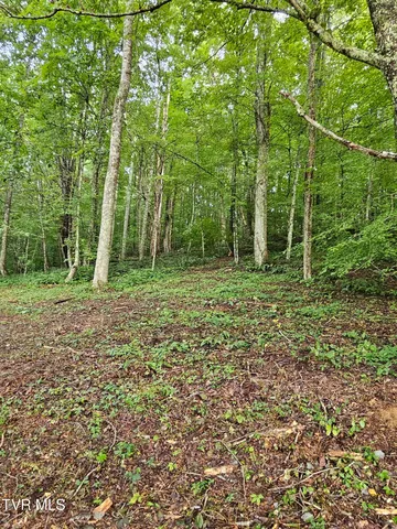 $43,000 | Tbd Caney Valley Road, Unit 1, Surgoinsville, TN 37873