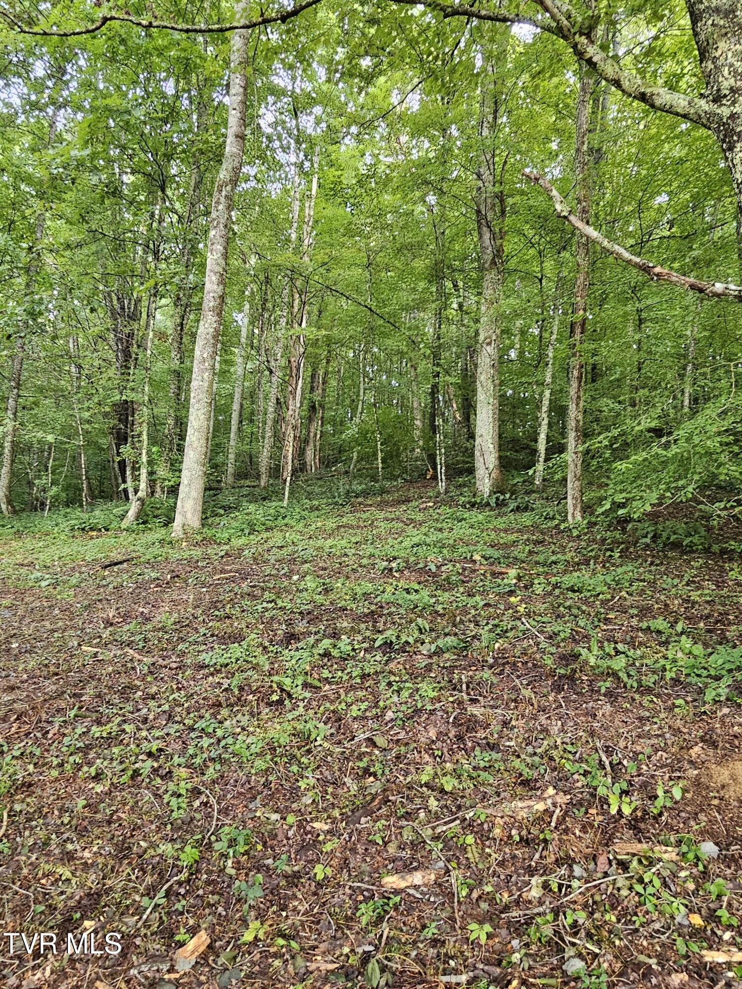 Tbd Caney Valley Road, Unit 1 Surgoinsville, TN 37873 - Photo 9 of 18 cc5