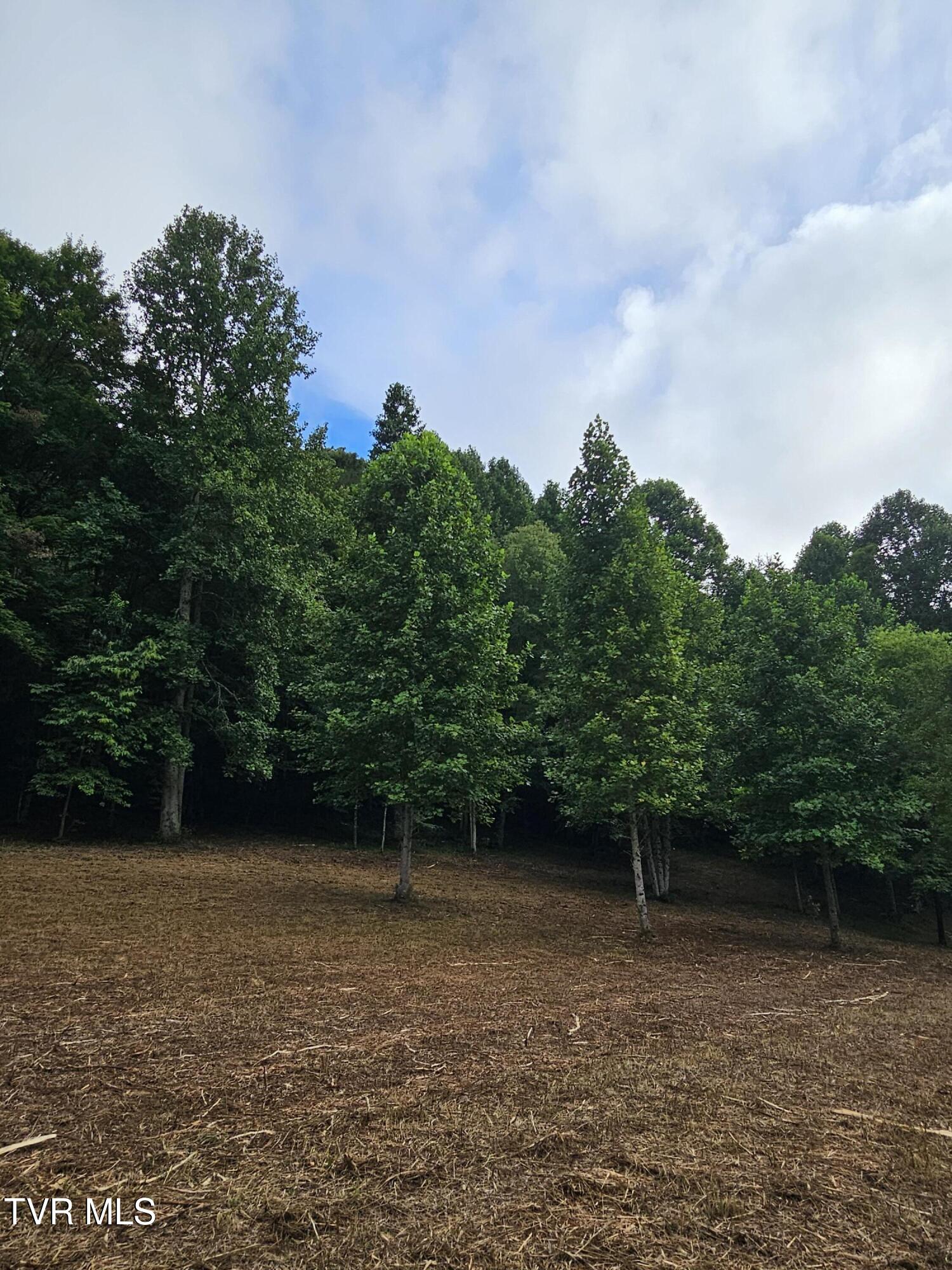 Tbd Caney Valley Road, Unit 1 Surgoinsville, TN 37873 - Photo 10 of 18 cc6