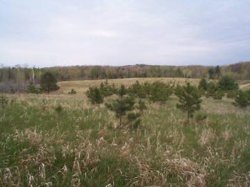 Primary Photo