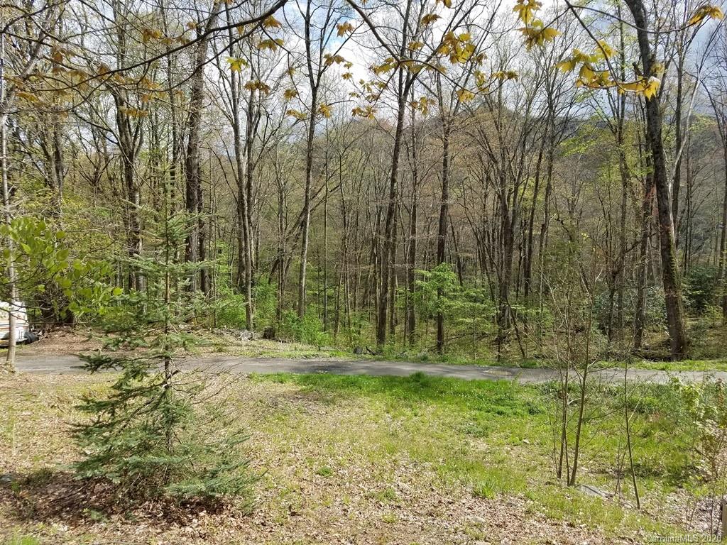 135 Carpenter Branch Road Maggie Valley, NC 28751 - Photo 3 of 9 Gallery Image 3
