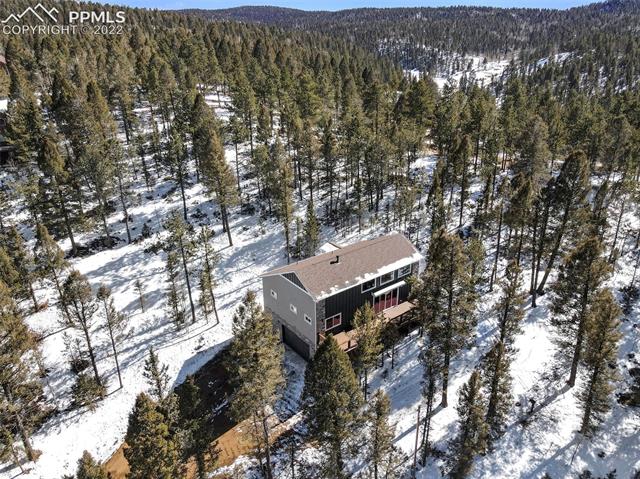 96 Wahsatch Road Florissant, CO 80816 - Photo 28 of 35 Gallery Image 28