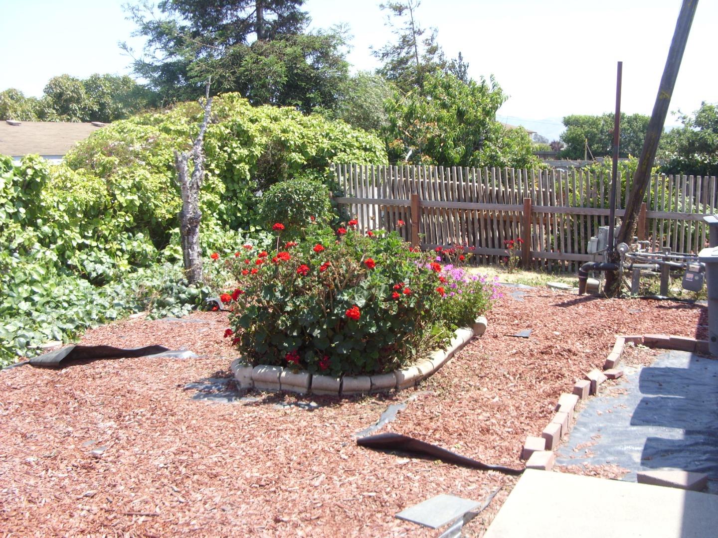 1117 Baldwin Street, Unit 74 Salinas, CA 93906 - Photo 13 of 13 a view of a garden with flowers