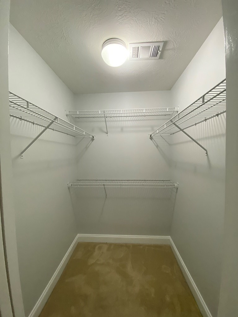 856 Bryan Circle Grovetown, GA 30813 - Photo 16 of 24 Owner's Walk-In Closet