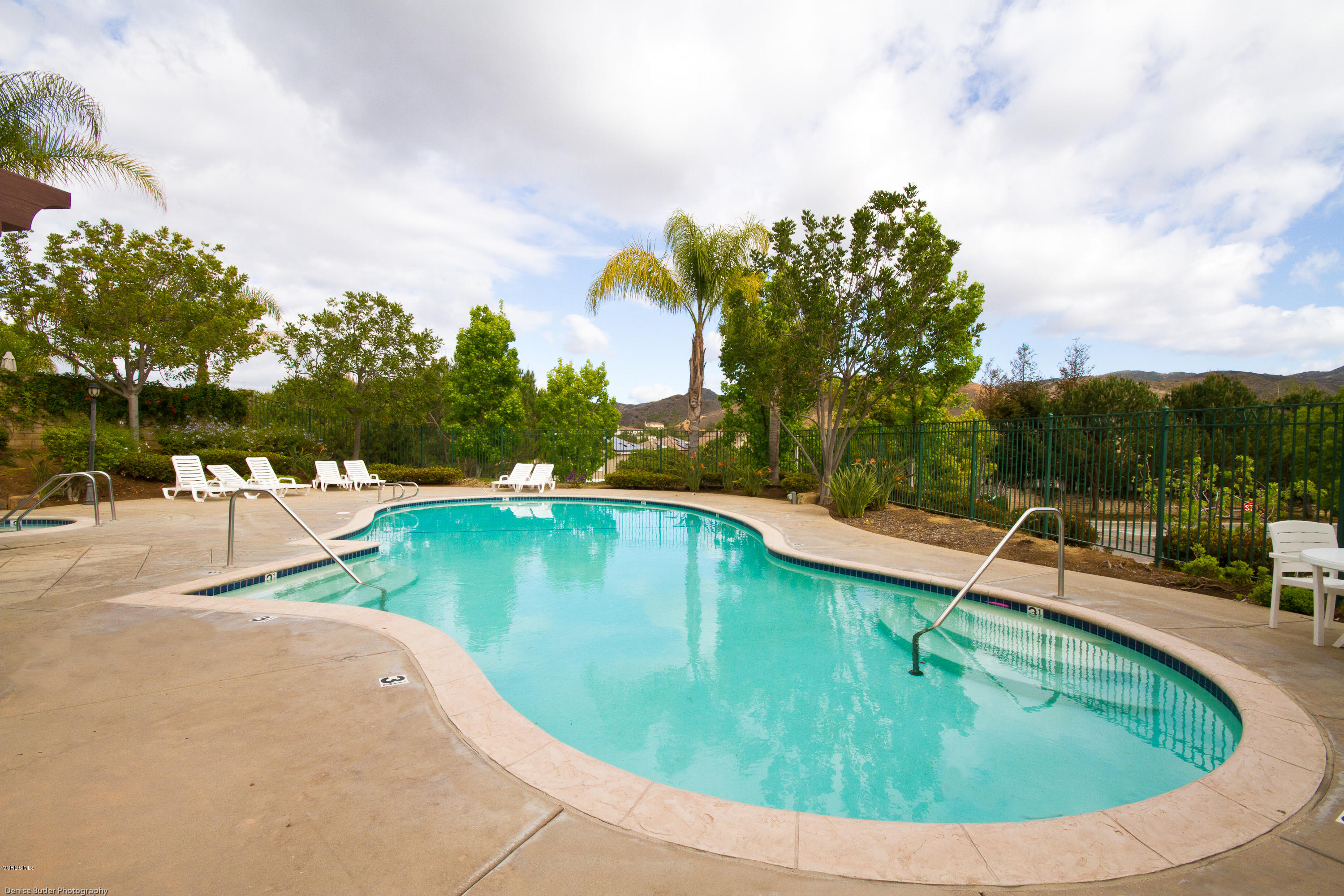 203 Knoll Ridge Road Simi Valley, CA 93065 - Photo 52 of 53 a view of a swimming pool with a yard and plants