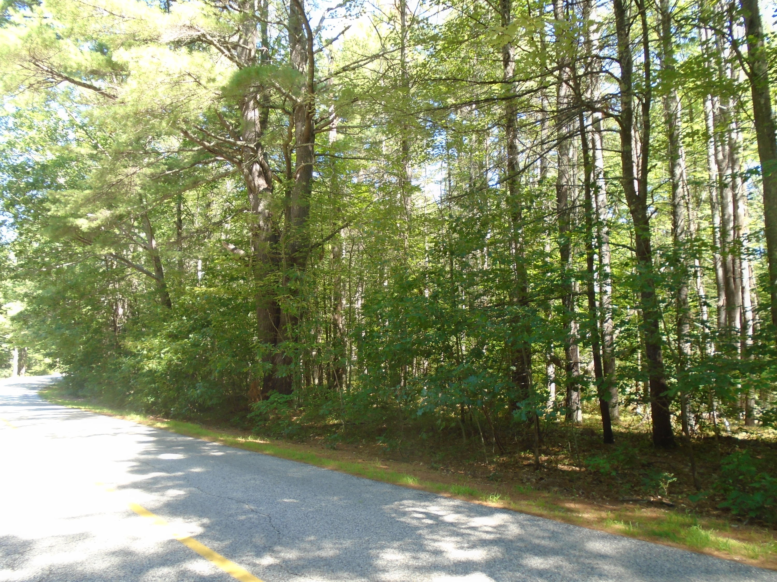 Parcel B Mouse Lane Alfred, ME 04002 - Photo 5 of 11 DSC01891