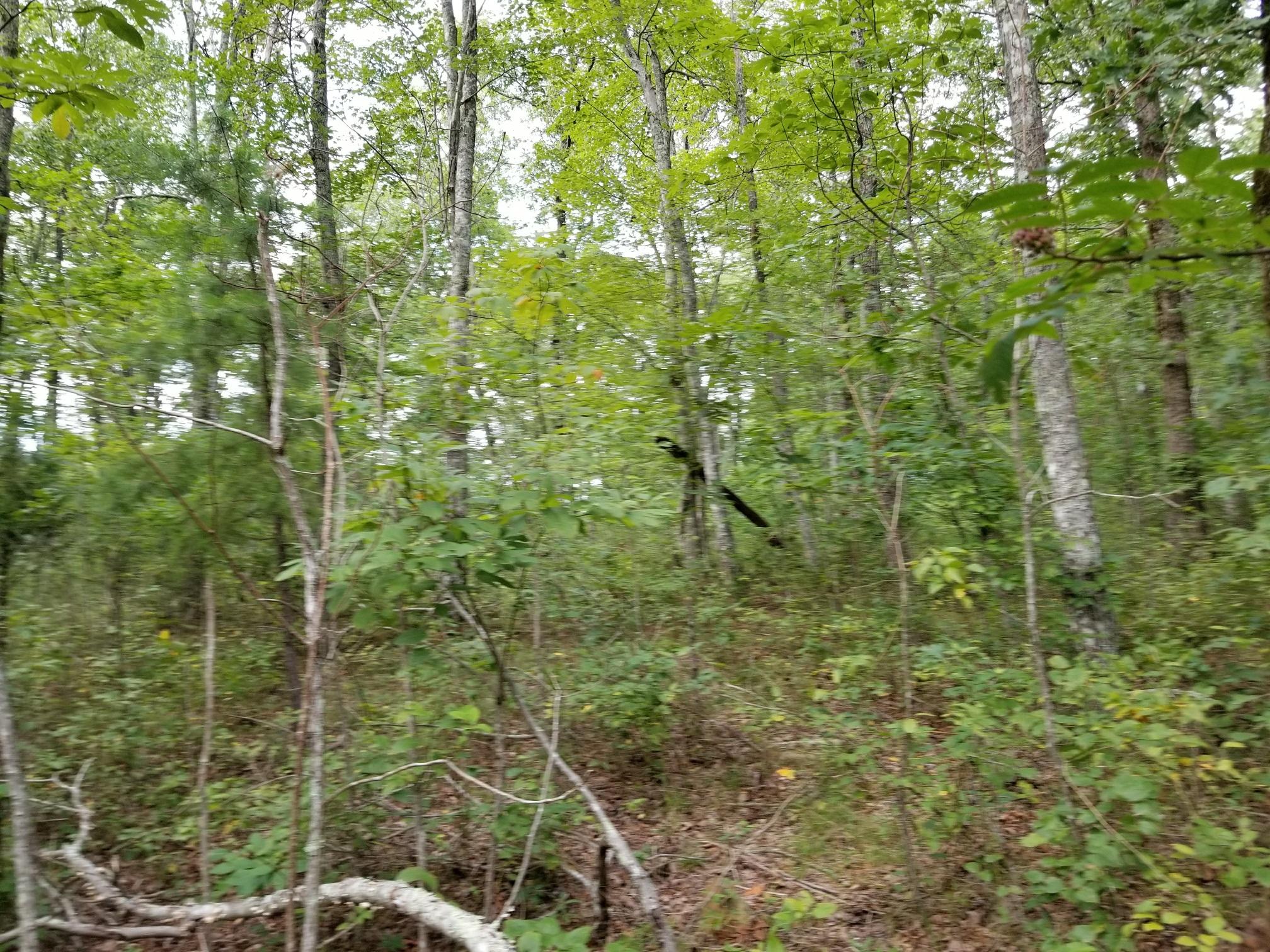 21 Jackson Point Road, Unit 21 Sewanee, TN 37375 - Photo 1 of 4 20170809_174921_resized