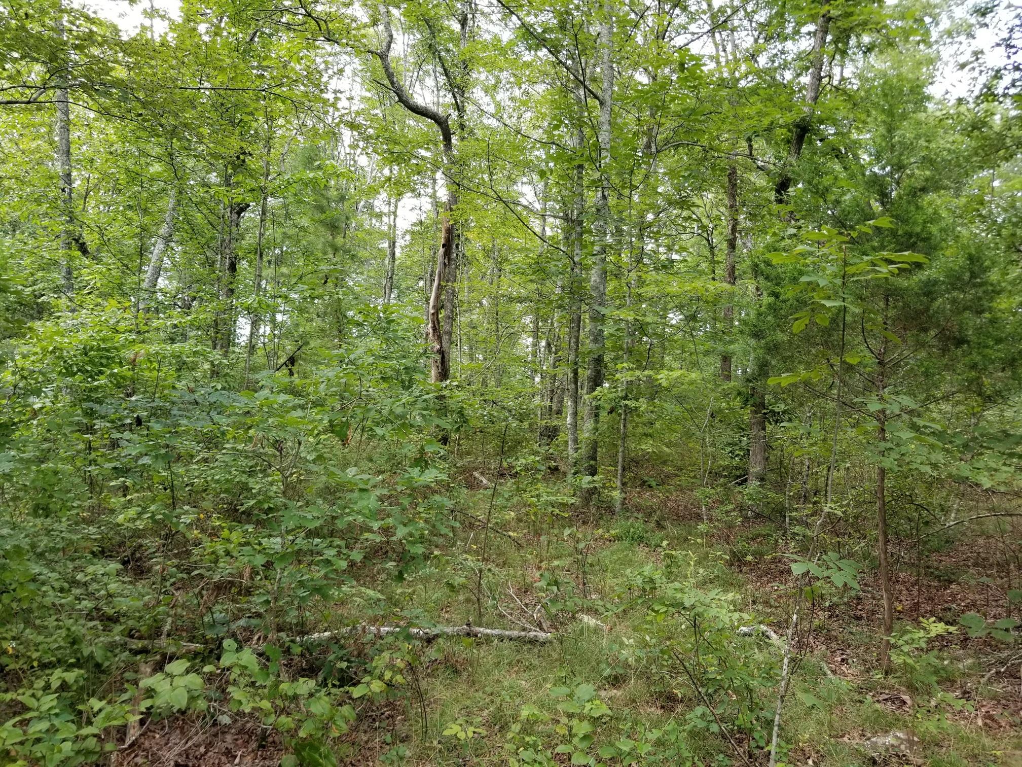 21 Jackson Point Road, Unit 21 Sewanee, TN 37375 - Photo 2 of 4 20170809_174840_resized