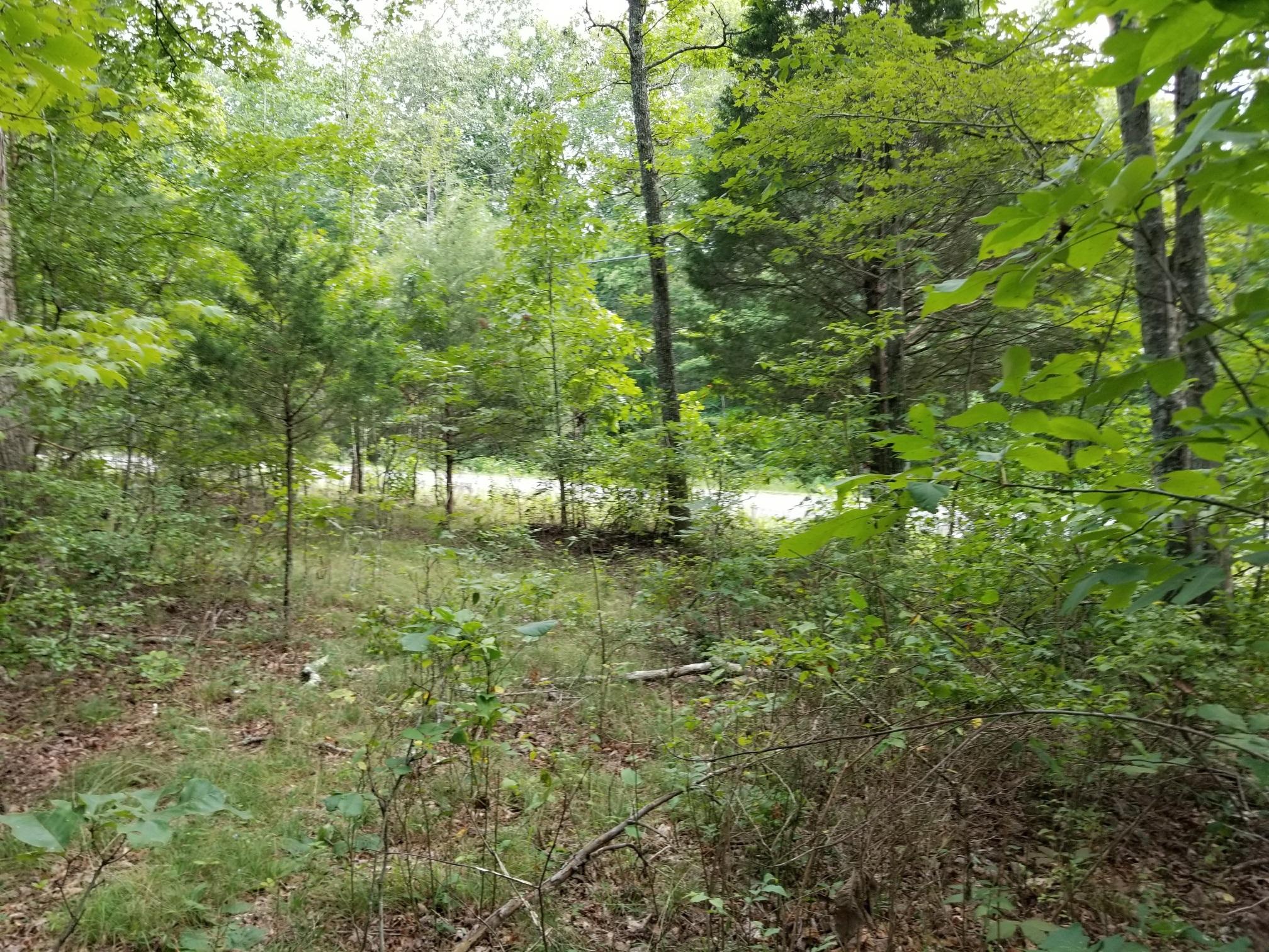 21 Jackson Point Road, Unit 21 Sewanee, TN 37375 - Photo 3 of 4 20170809_174900_resized