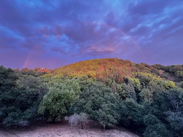 $899,000 | 4630 Redwood Road, Oakland, CA 94619