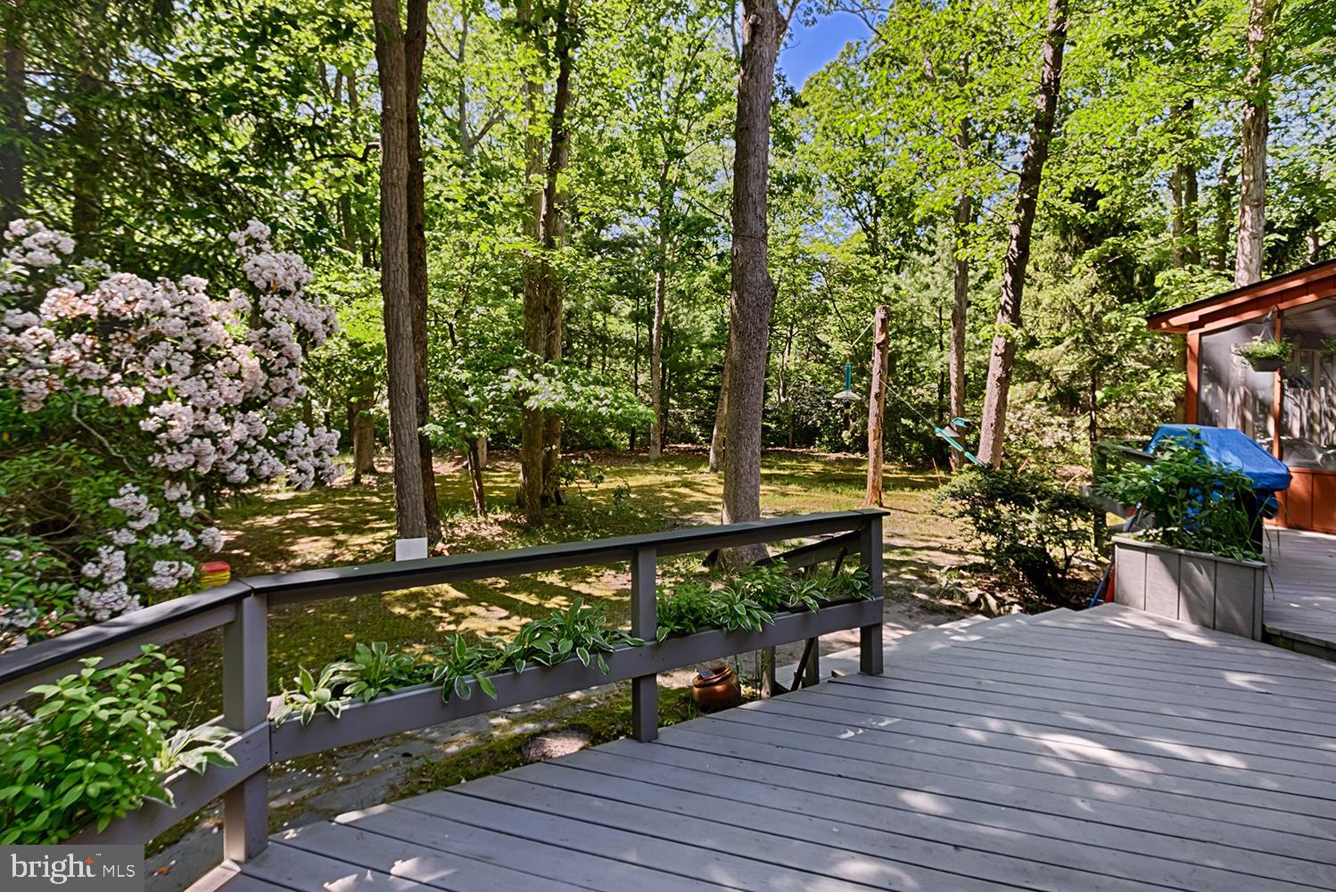 32 Summit Pass Medford, NJ 08055 - Photo 33 of 34 Backyard view from the deck