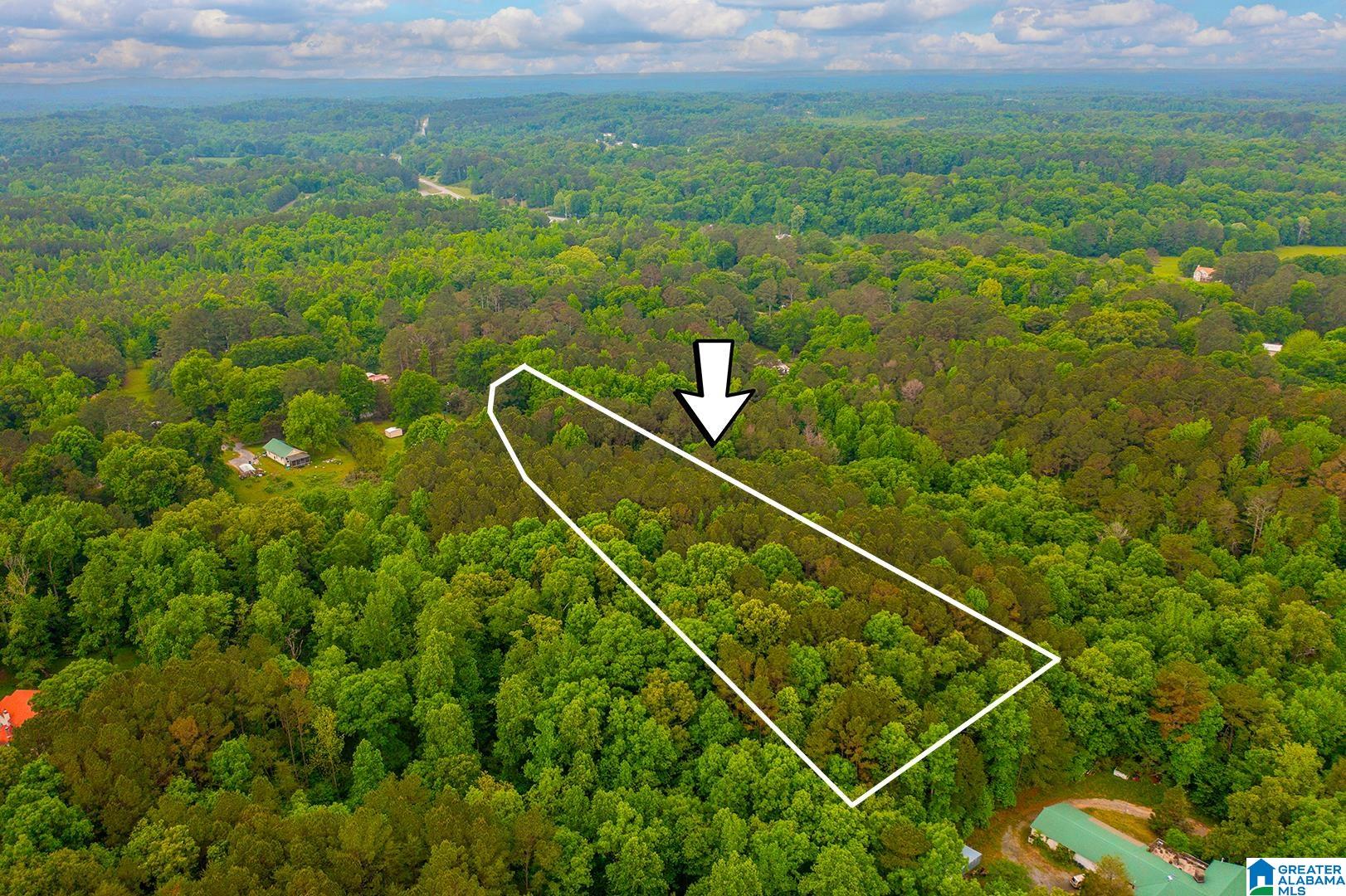 0 Spunky Hollow Road, Unit 1 Trafford, AL 35172 - Photo 2 of 18