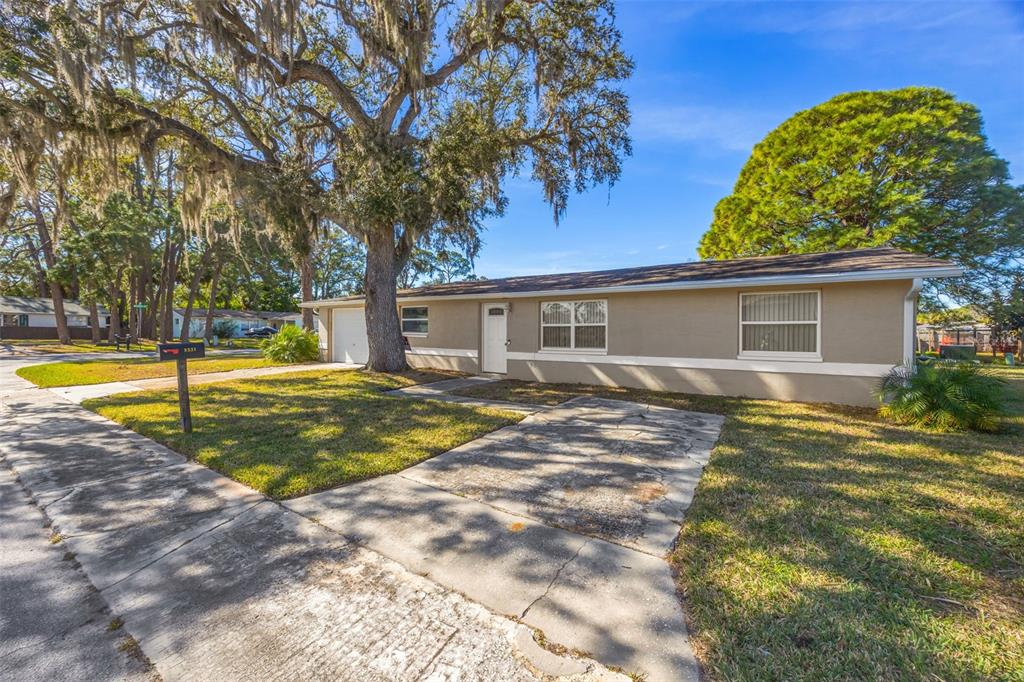 8331 Wilkins Street Port Richey, FL 34668 - Photo 8 of 32