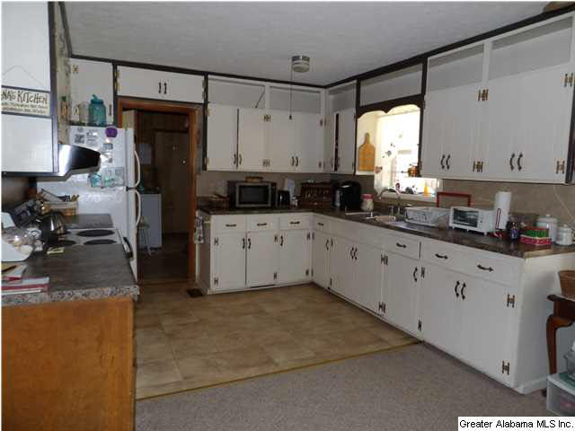 1290 Iron City Road Anniston, AL 36207 - Photo 3 of 11