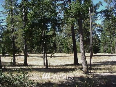 2 Pine Ridge Cle Elum, WA 98922 - Photo 1 of 1 Gallery Image 1