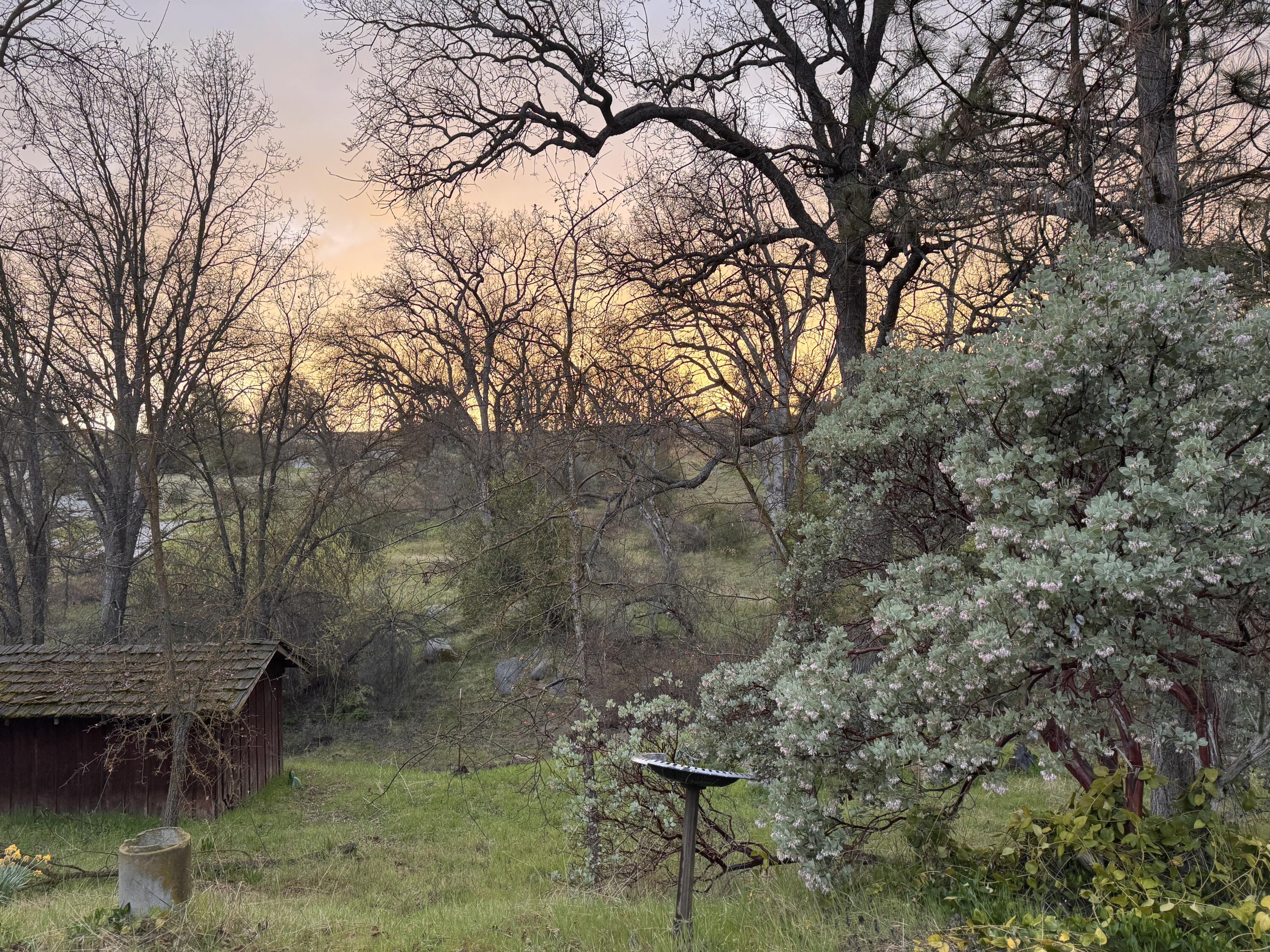 1440 Whitaker Forest Road Badger, CA 93603 - Photo 52 of 56 IMG_8250