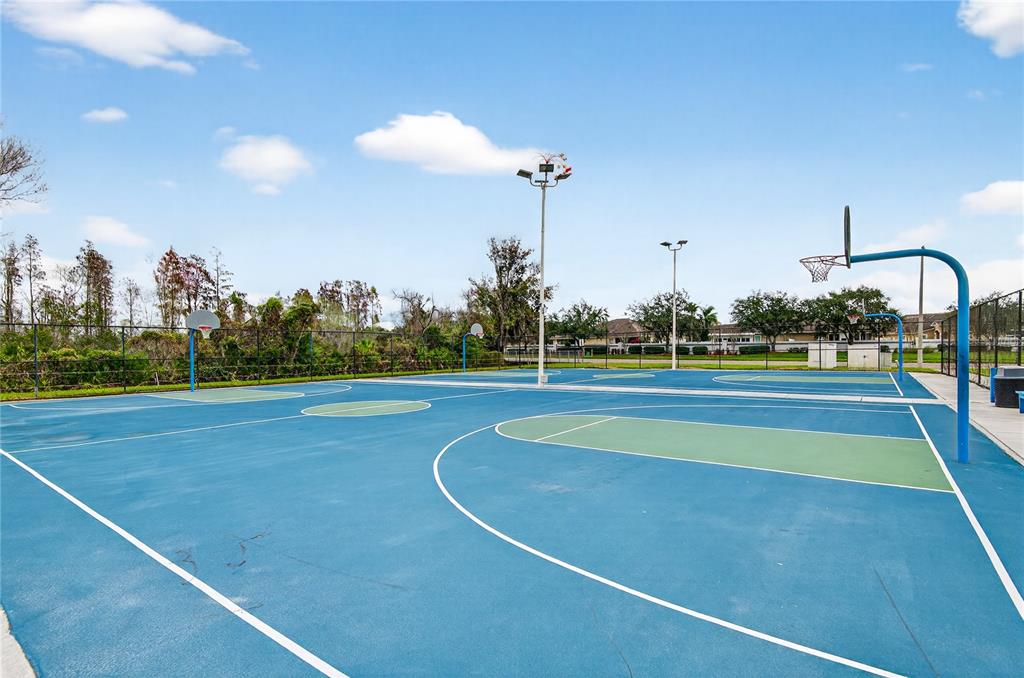 1737 Sassafras Drive Wesley Chapel, FL 33543 - Photo 51 of 58 a view of a basket ball ground