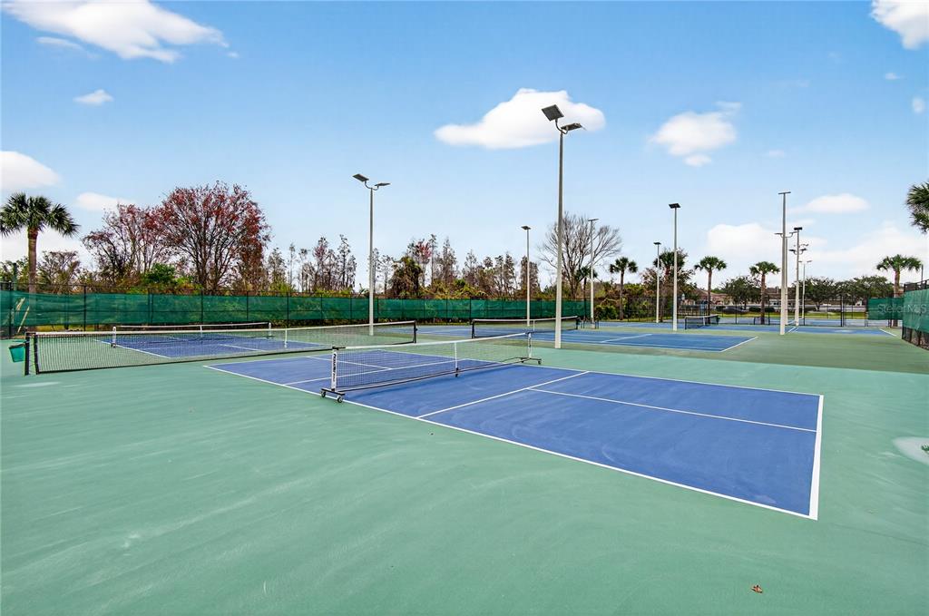1737 Sassafras Drive Wesley Chapel, FL 33543 - Photo 53 of 58 a view of a tennis court