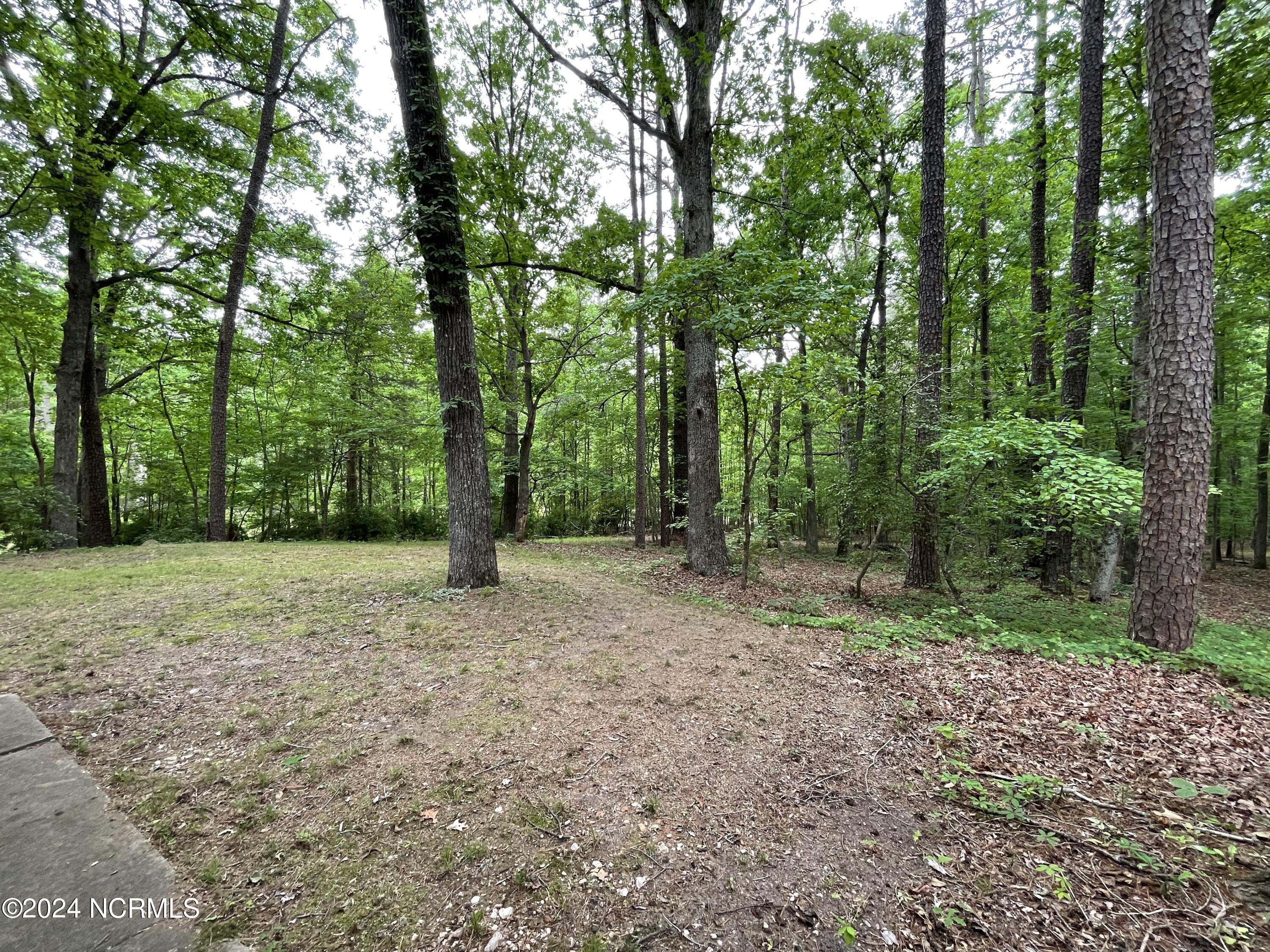 2592 Old Glendon Road Carthage, NC 28327 - Photo 23 of 23 Yard