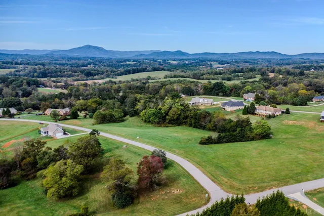 a view of a city with lush green forest