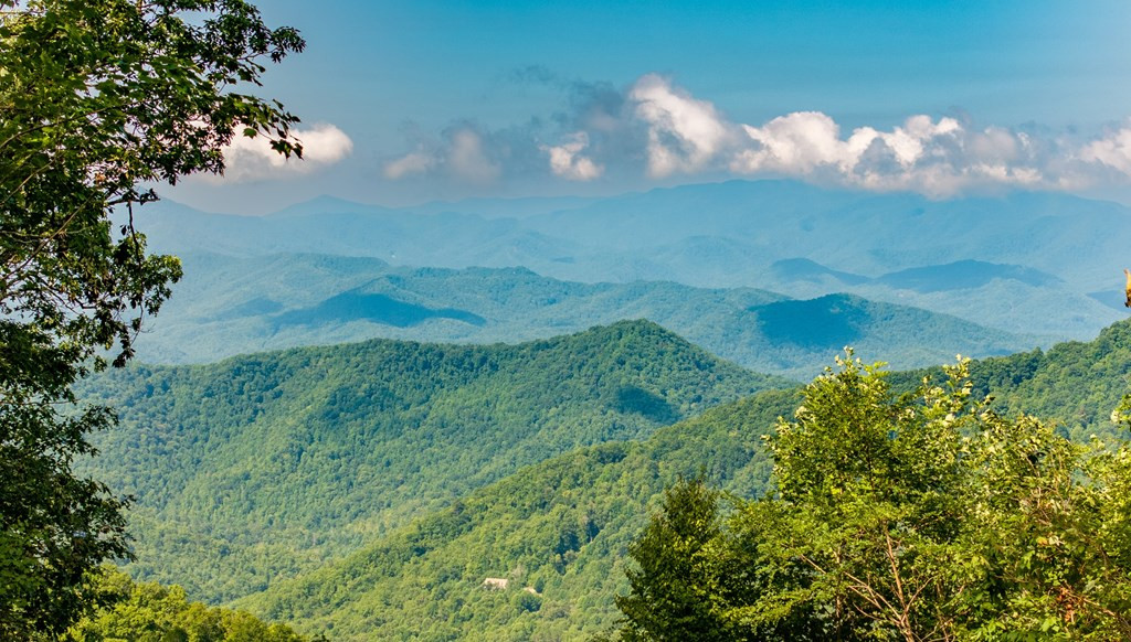 0 East Alarka Road Bryson City, NC 28713 - Photo 7 of 28