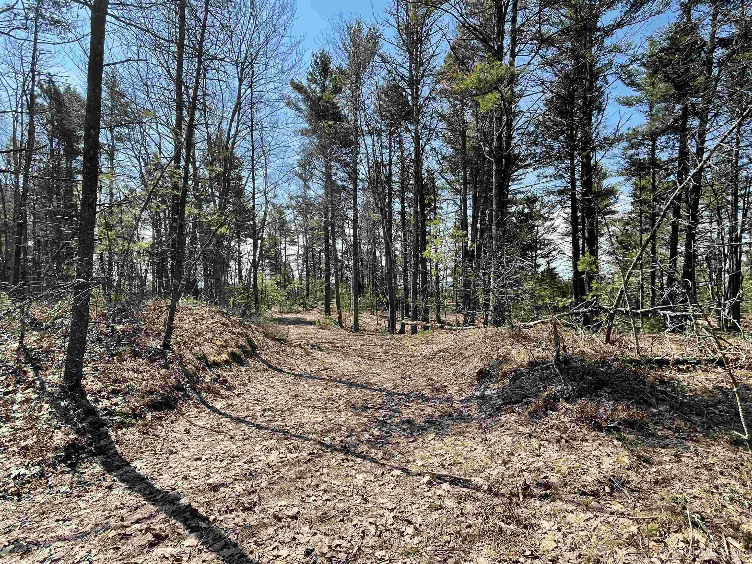 402 Top O' Lake Road Gulliver, MI 49840 - Photo 10 of 33