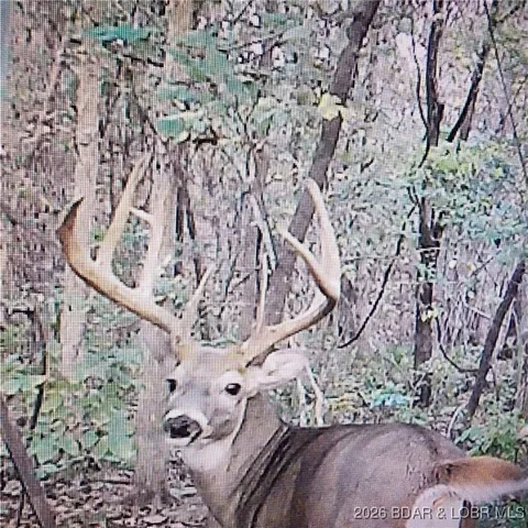 $114,540 | Lot 2 State Aa Road, Roach, MO 65787