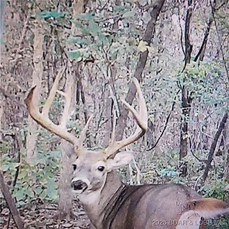 $114,540 | Lot 2 State Aa Road, Roach, MO 65787