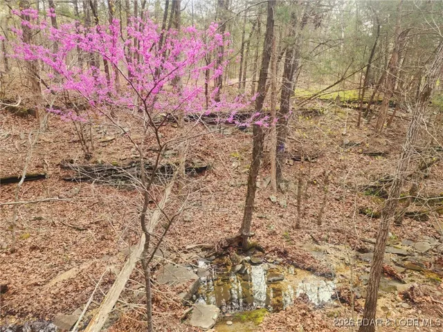 $114,540 | Lot 2 State Aa Road, Roach, MO 65787