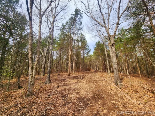 $114,540 | Lot 2 State Aa Road, Roach, MO 65787