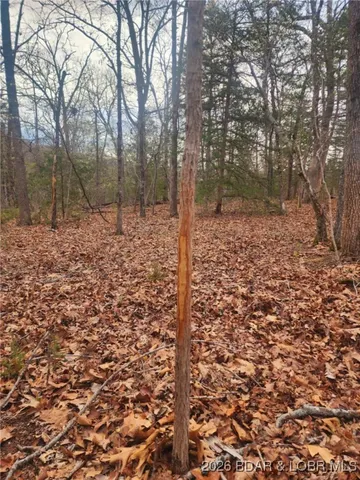 $114,540 | Lot 2 State Aa Road, Roach, MO 65787