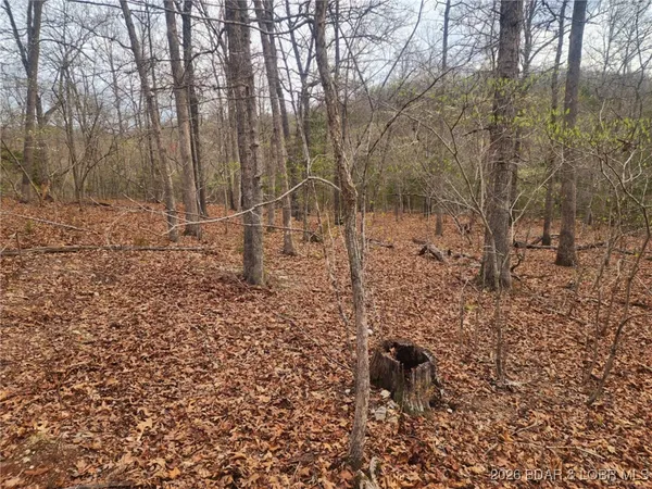 $114,540 | Lot 2 State Aa Road, Roach, MO 65787