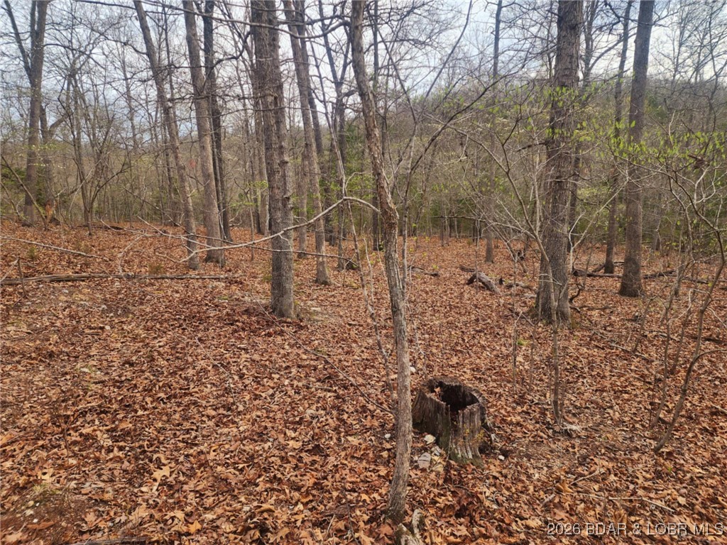 Lot 2 State Aa Road Roach, MO 65787 - Photo 27 of 29