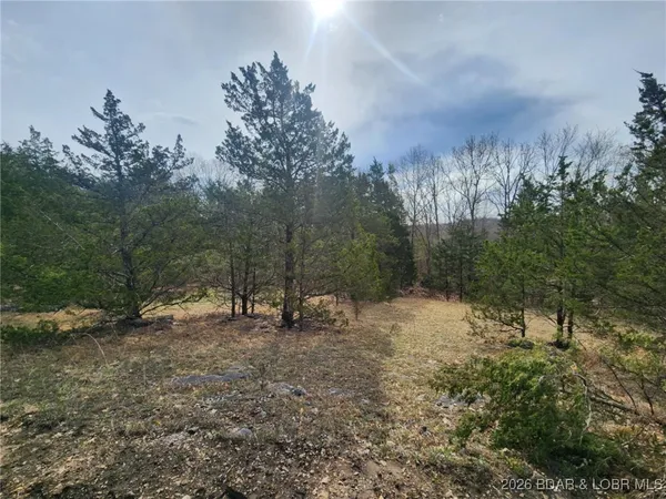$114,540 | Lot 2 State Aa Road, Roach, MO 65787