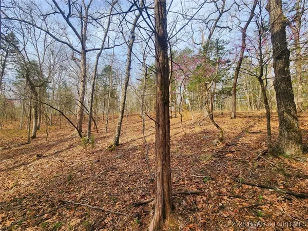 $114,540 | Lot 2 State Aa Road, Roach, MO 65787