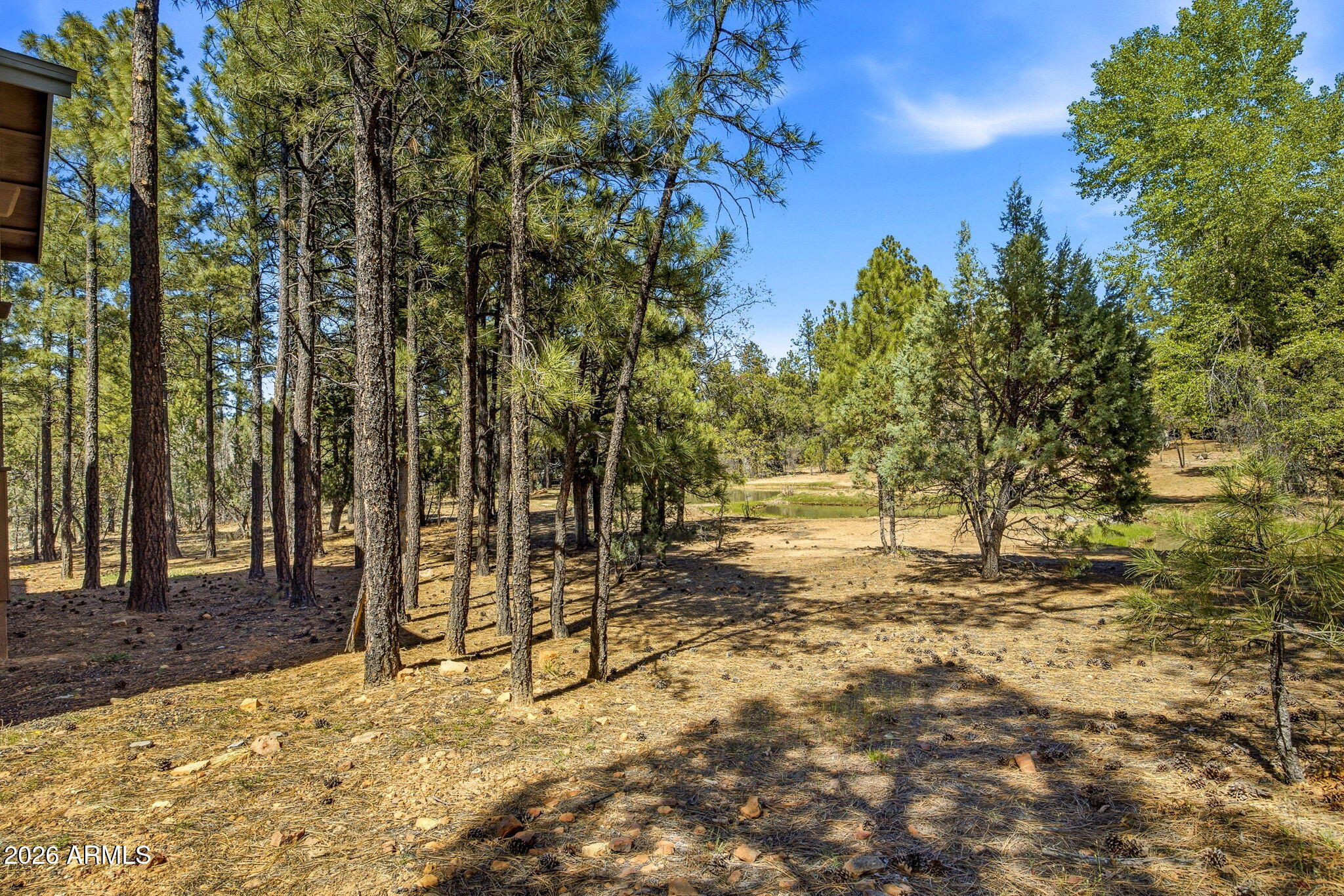 481 South Paintbrush Road Show Low, AZ 85901 - Photo 31 of 44 481SPaintbrushRd-ShowLow-AZ-31