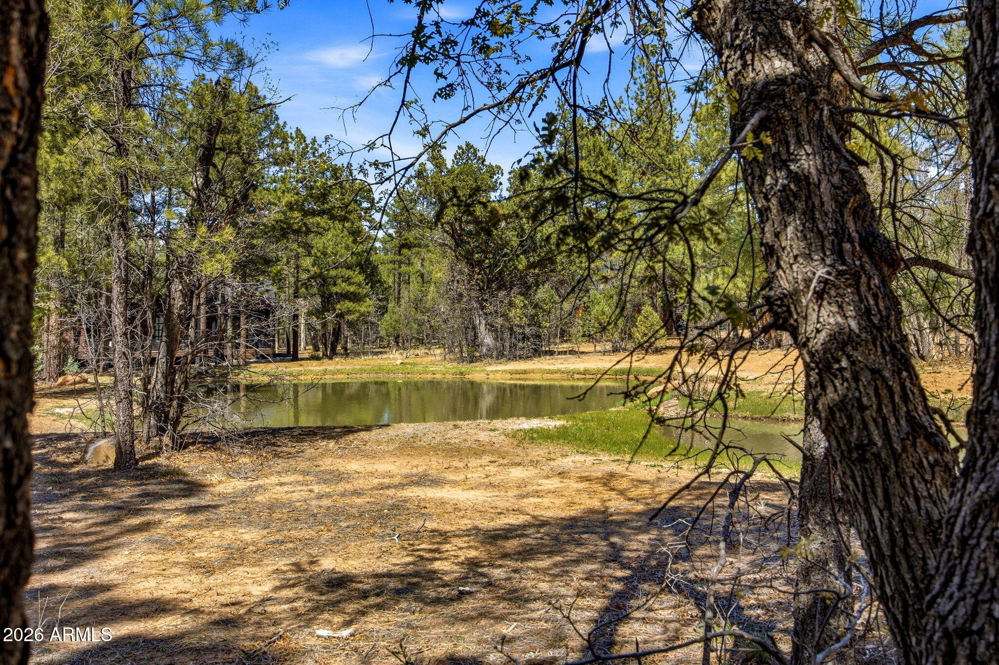481 South Paintbrush Road Show Low, AZ 85901 - Photo 34 of 44 481SPaintbrushRd-ShowLow-AZ-34